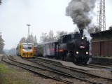 26.11.2011 mikulsk vlak Sp 1918 Vysok Mto parn lokomotiva 423.009