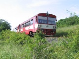 22.6.2006 mezi Dbnovem a Hruovou motorov vz 810 617-1